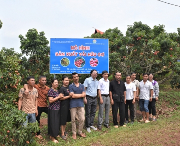 Sức mạnh sinh học trên vườn vải hữu cơ