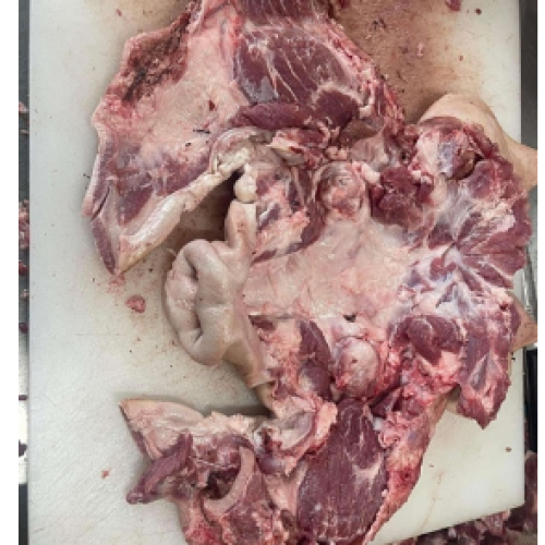 THỊT ĐẦU HEO LỌC 1kg