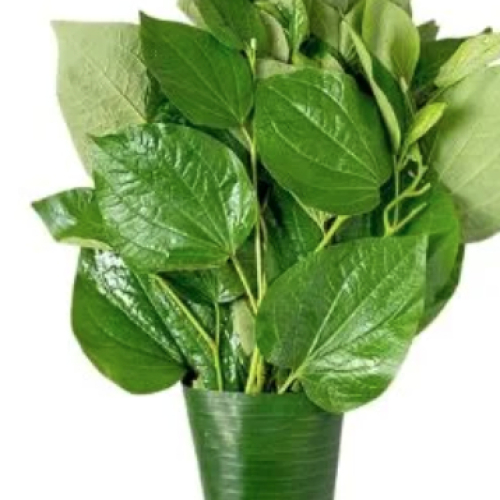 Lá Lốt 100gr