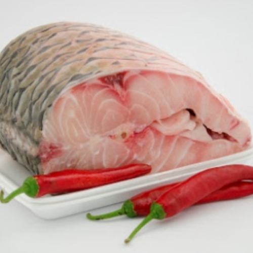 CÁ TRẮM CON 1kg