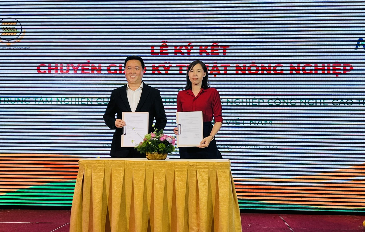 Hợp tác xã Tam nông Việt Nam hỗ trợ nông dân ổn định đầu ra